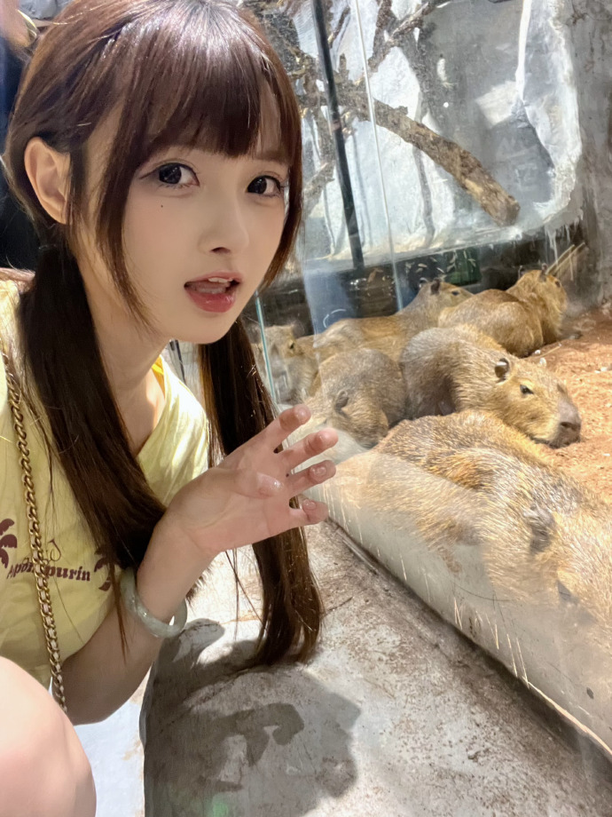 沉默的真相 封面