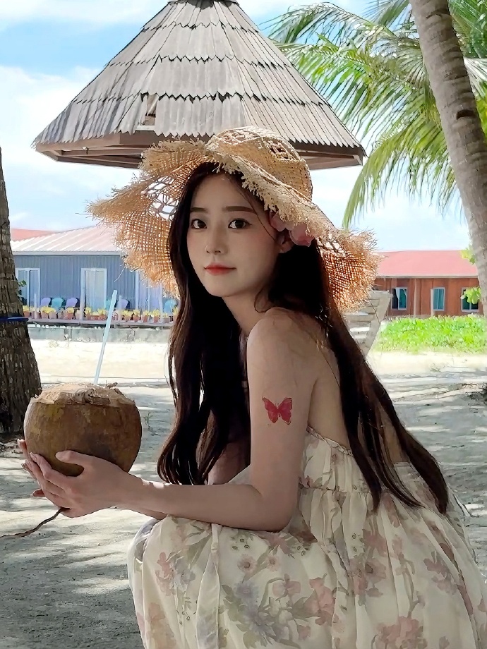大明王朝1566